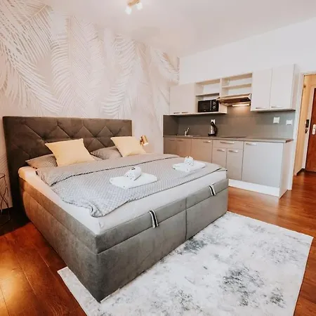 Design Studio, 400m From The Square Appartement Plzeň